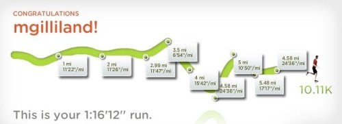 Graphic from Nike+ Human Race